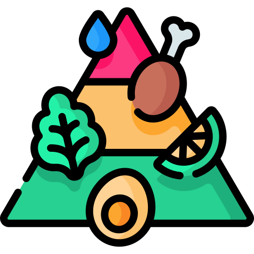 Nutritional pyramid